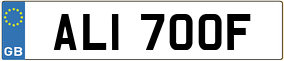 Truck License Plate